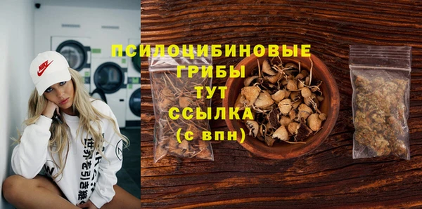 MESCALINE Коряжма