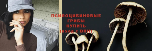 MESCALINE Коряжма
