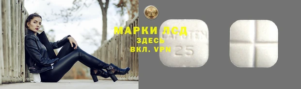 MESCALINE Коряжма