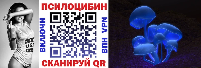 Купить где  Петровск-Забайкальский  Псилоцибиновые грибы GOLDEN TEACHER 